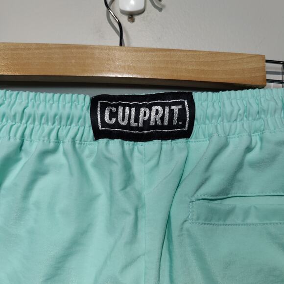 Culprit Women's Sz M BaeThing Swim Shorts Mint Julep Green Vented Side - Picture 4 of 6